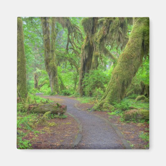 Aimant États-Unis, Washington, Parc National Olympique, H (Devant)