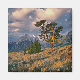 Aimant États-Unis, Wyoming, Grand Teton NP. Le lever du s