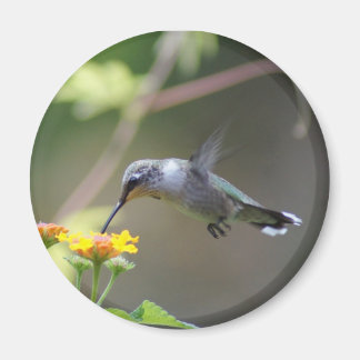 Aimant Été Hummer