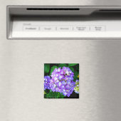 Aimant Été Hydrangea (In Situ (Lave-vaisselle))