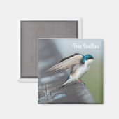 Aimant Étendue de l'hirondelle (Recto/Verso)