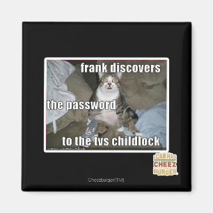 Aimant Étiquette TV