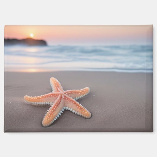 Aimant Étoile de mer allongée sur une plage (Recto)