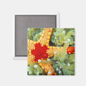 Aimant Étoile de mer rouge et jaune (Recto/Verso)