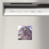 Aimant "Étoile de Perse II" (In Situ (Lave-vaisselle))