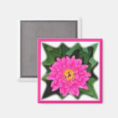 Aimant étoile de zinnia1 (Recto/Verso)