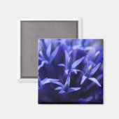 Aimant étoiles bleues (Recto/Verso)