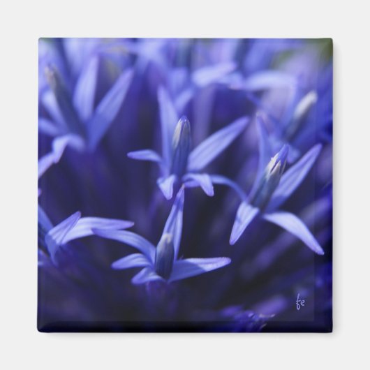 Aimant étoiles bleues (Devant)