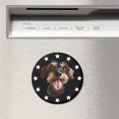 Aimant Étoiles Dachshund à poils durs (In Situ (Lave-vaisselle))