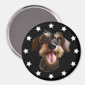 Aimant Étoiles Dachshund à poils durs (Recto/Verso)