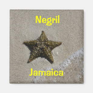 Aimant Étoiles de mer