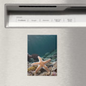Aimant Étoiles de mer dans les profondeurs de la mer (In Situ (Lave-vaisselle))