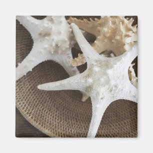 Aimant Étoiles de mer dans un panier