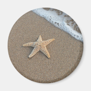 Aimant Étoiles de mer par la plage