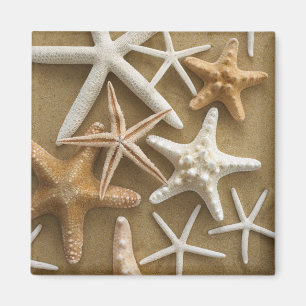 Aimant Étoiles de mer sur le sable