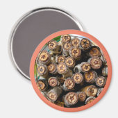 Aimant Etoiles le long du Rio Grande Cotton Wood Trees (Recto/Verso)