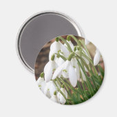 Aimant Étonnantes chutes de neige (Recto/Verso)