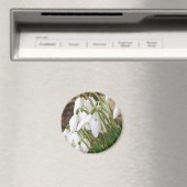 Aimant Étonnantes chutes de neige (In Situ (Lave-vaisselle))