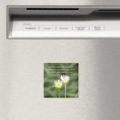 Aimant Être attiré par l'aimant (In Situ (Lave-vaisselle))