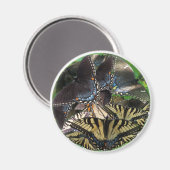 Aimant ets_yin_zazzle (Recto/Verso)