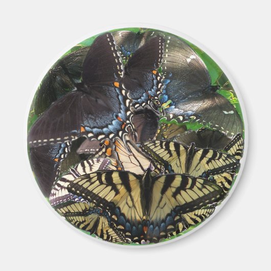 Aimant ets_yin_zazzle (Devant)