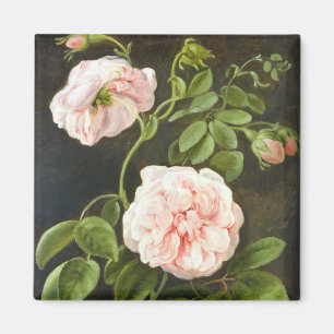 Aimant Étude de fleur