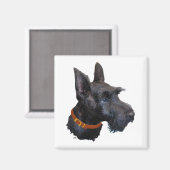 Aimant Étude de tête de Terrier Écossais (Recto/Verso)