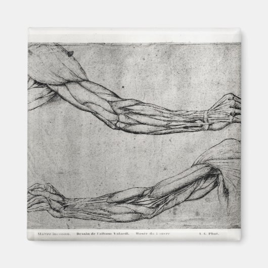 Aimant Étude des armes (Devant)