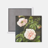 Aimant Étude des fleurs (Recto/Verso)