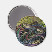Aimant Étude du serpent jardinier au-delà de la peau (Recto/Verso)