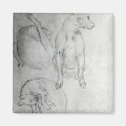 Aimant Étude d'un chien et d'un chat, c.1480 (Devant)