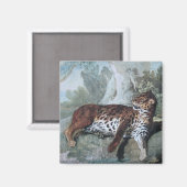 Aimant Étude d'un léopard (par Jean-Baptiste Oudry) (Recto/Verso)