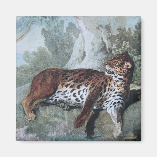 Aimant Étude d'un léopard (par Jean-Baptiste Oudry) (Devant)