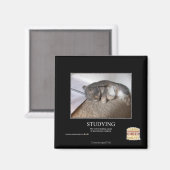 Aimant Étudier (Recto/Verso)