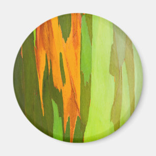 Aimant Eucalyptus écorce arc-en-ciel, Hawaï