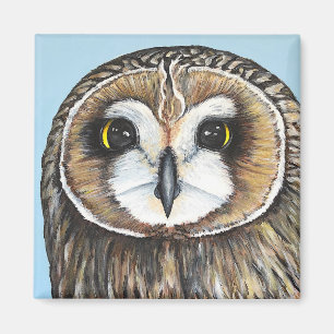 Aimant Eugene, un hibou à oreilles courtes