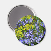 Aimant Euphorbia Et Veronica (Recto/Verso)