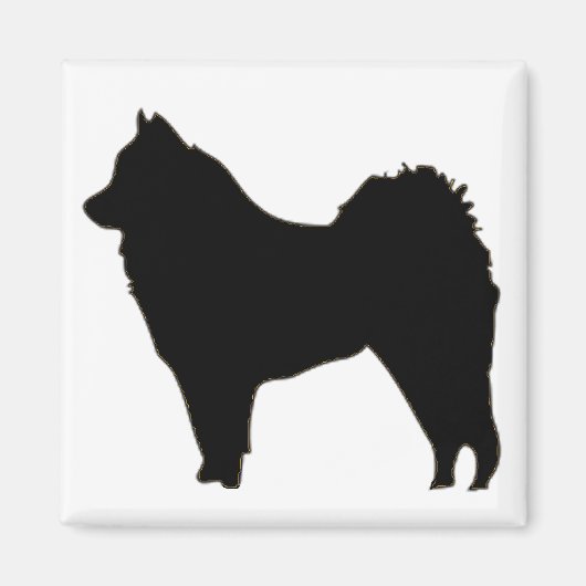 Aimant eurasier (Devant)
