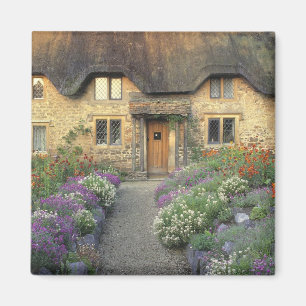 Aimant Europe, Angleterre, Chippenham. Lumière tôt le mat
