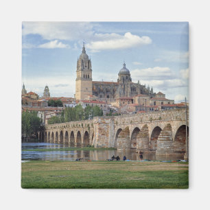 Aimant Europe, Espagne, Salamanque. Le pont romain sur