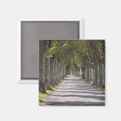 Aimant Europe, France, Cereste. Des arbres bordent cette  (Recto/Verso)