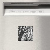 Aimant Europe, France, Paris. Les arbres d'hiver, Marco (In Situ (Lave-vaisselle))