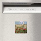 Aimant Europe, Grèce, Cyclades, Delos. Ruines de colonne. (In Situ (Lave-vaisselle))