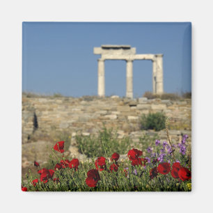 Aimant Europe, Grèce, Cyclades, Délos. Ruines de colonnes