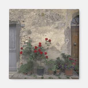 Aimant Europe, Italie, Toscane, Chianti, porteuse toscane