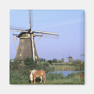 Aimant Europe, Pays-Bas, Zuid Holland, Kinderdijk. 2