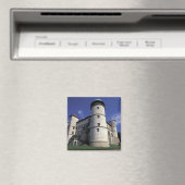 Aimant EUROPE, Pologne, Carpathian Mts, Nowy Wisnicz (In Situ (Lave-vaisselle))