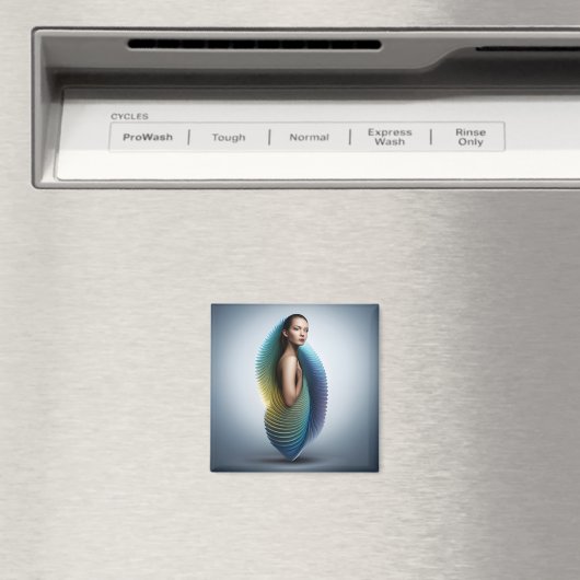 Aimant Éveil éthétique (In Situ (Lave-vaisselle))