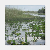 Aimant Everglades (Devant)