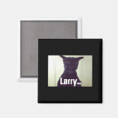 Aimant Evil Larry Meme Larry Cat Meme mèmes maudits Brain (Recto/Verso)